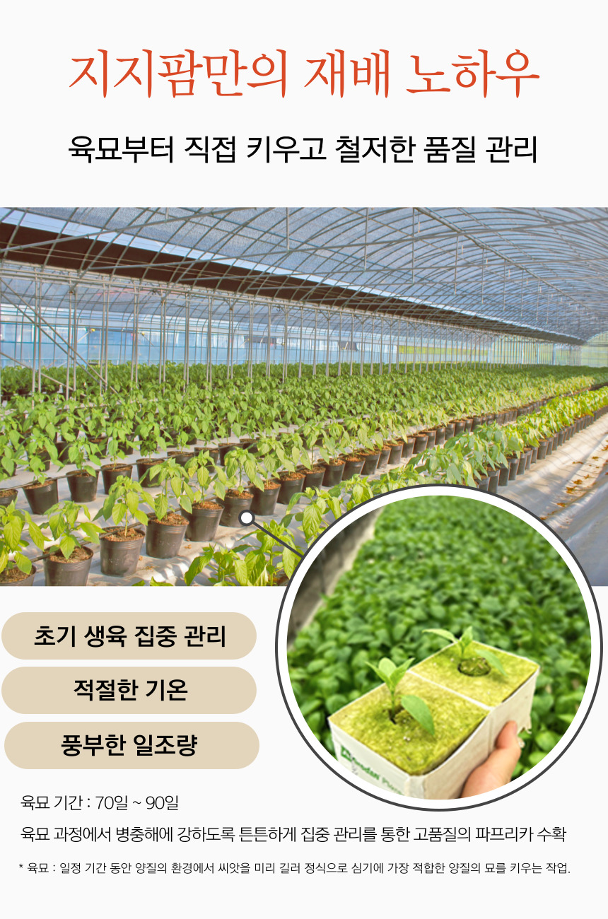 고정 하단 _1 (3)